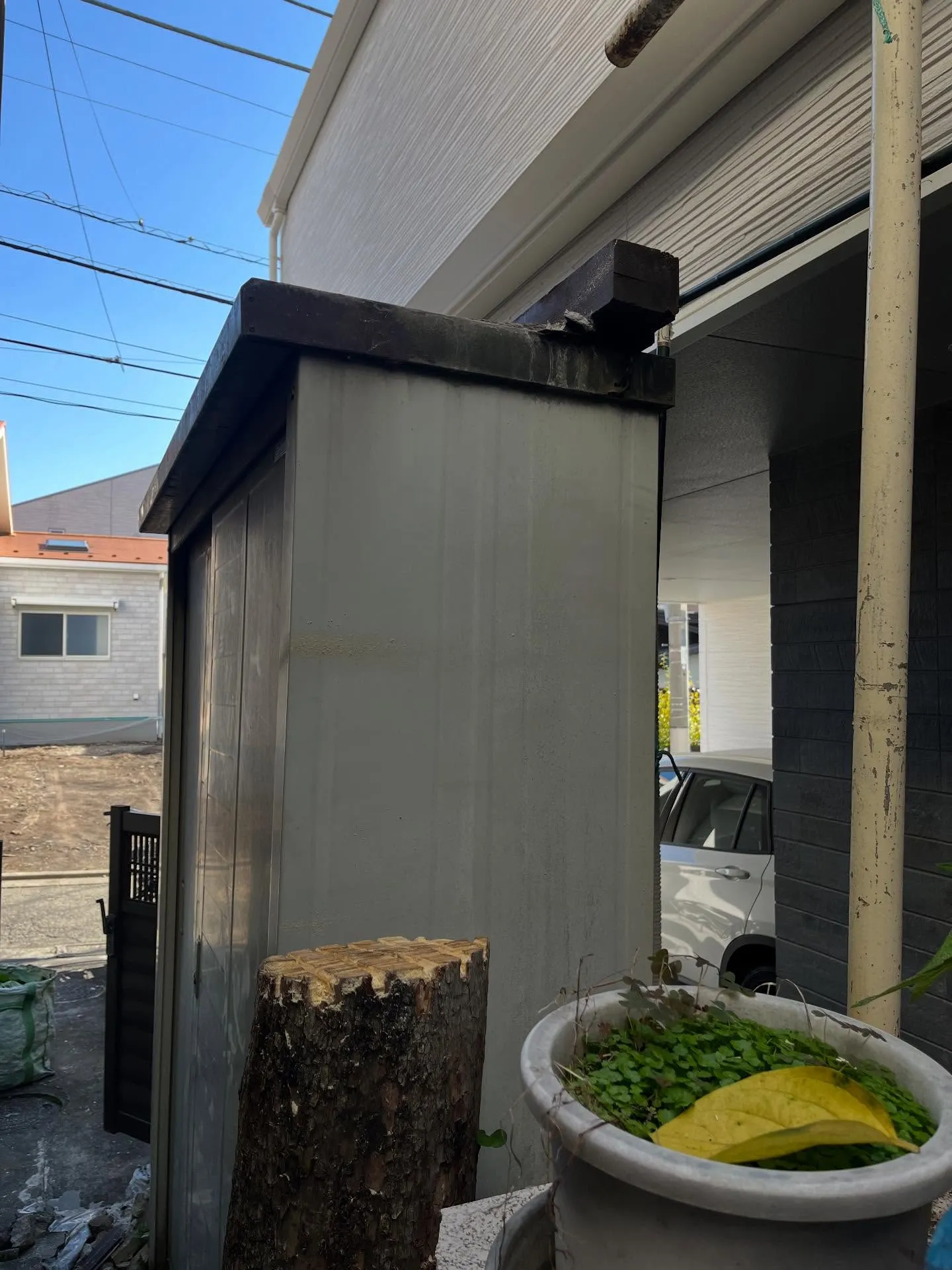 【練馬区】🪴🪴お庭のお手入れ🪴🪴